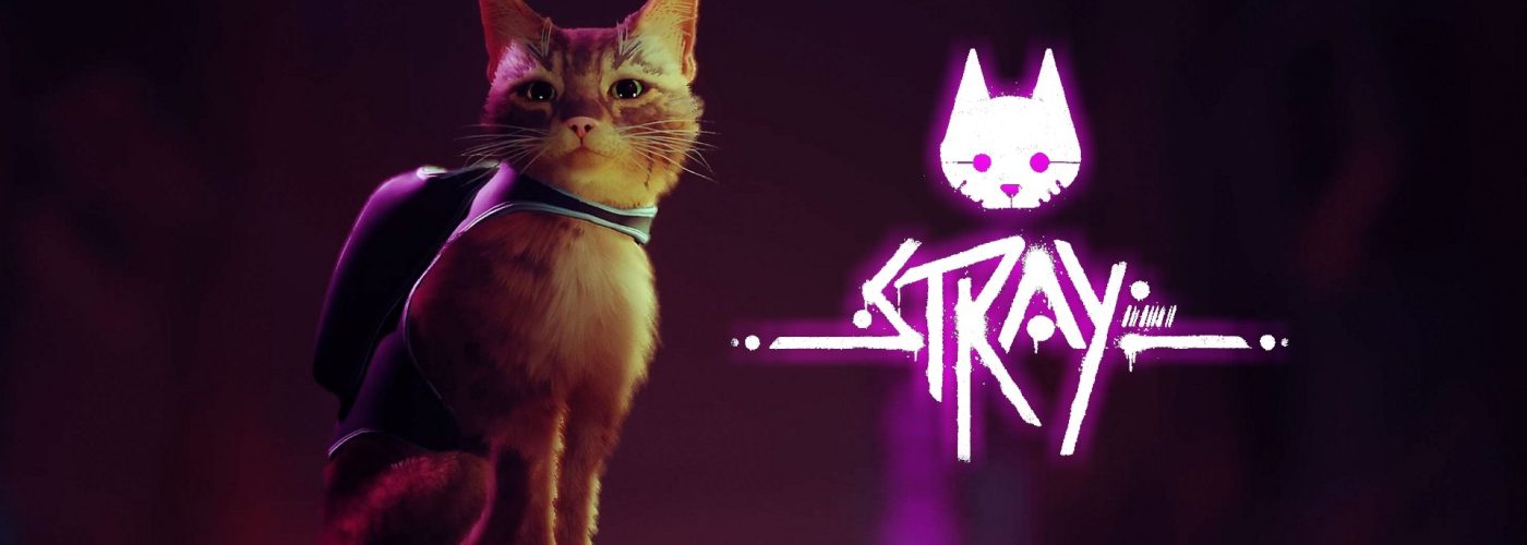 STRAY: Di notte tutti i gatti sono bigi