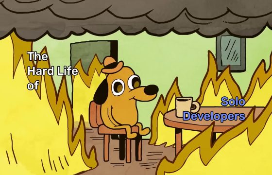 The Hard Life of Solo Developers