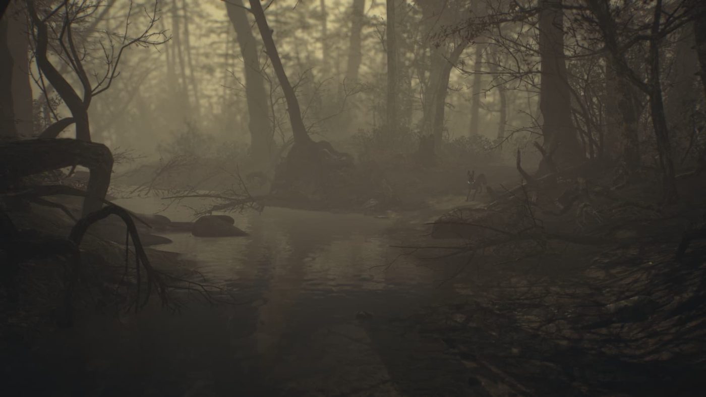 Blair Witch