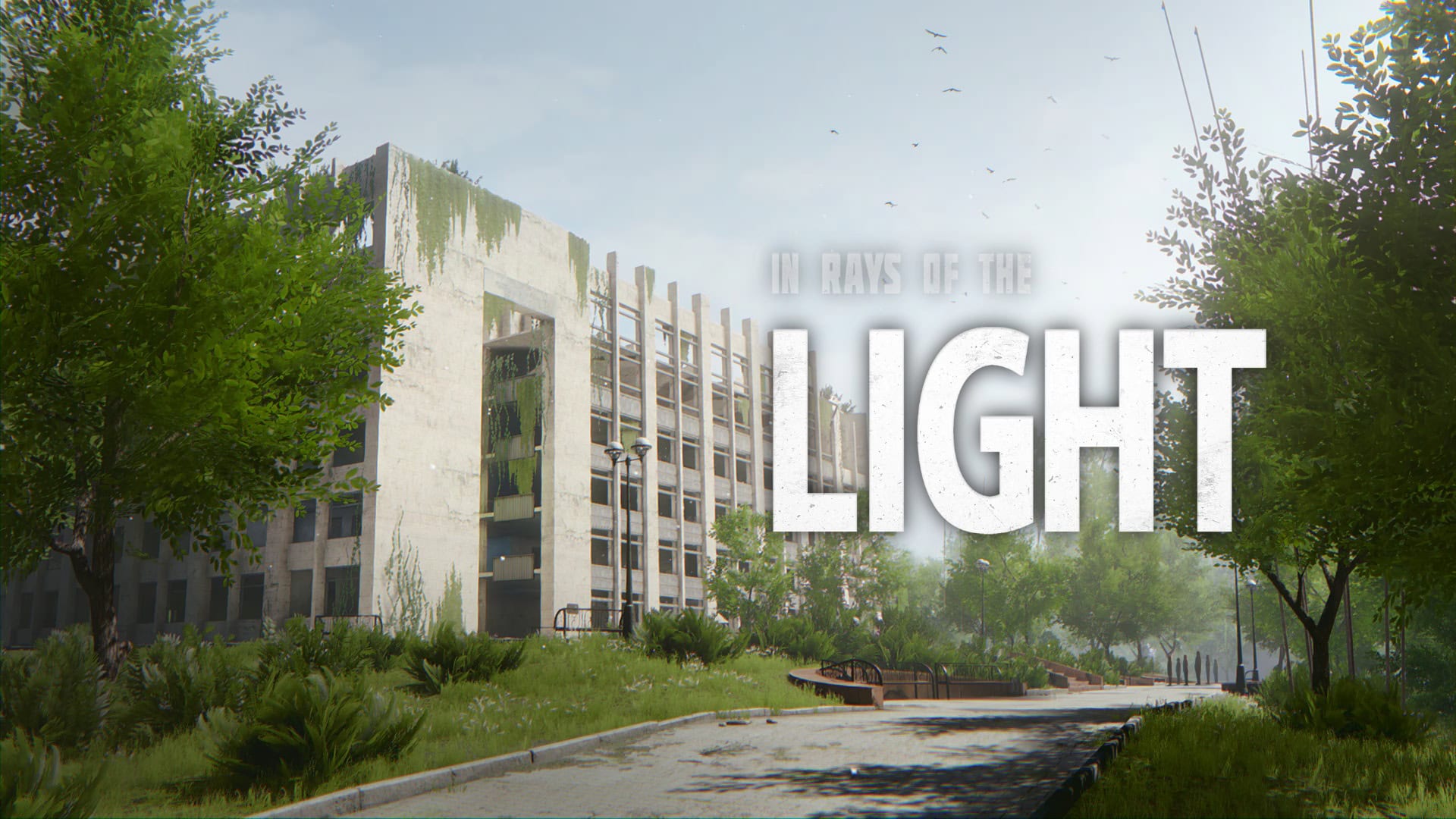 In Rays of the Light – recensione: La luce nel silenzio