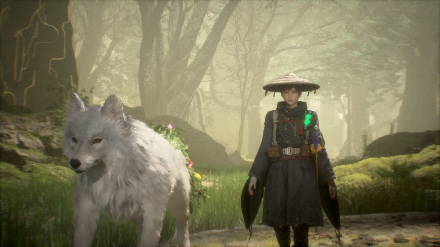 Beast of Reincarnation