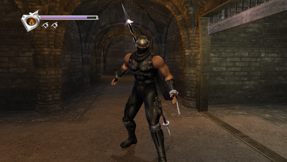 Ninja Gaiden Black