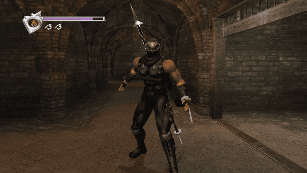 Ninja Gaiden Black