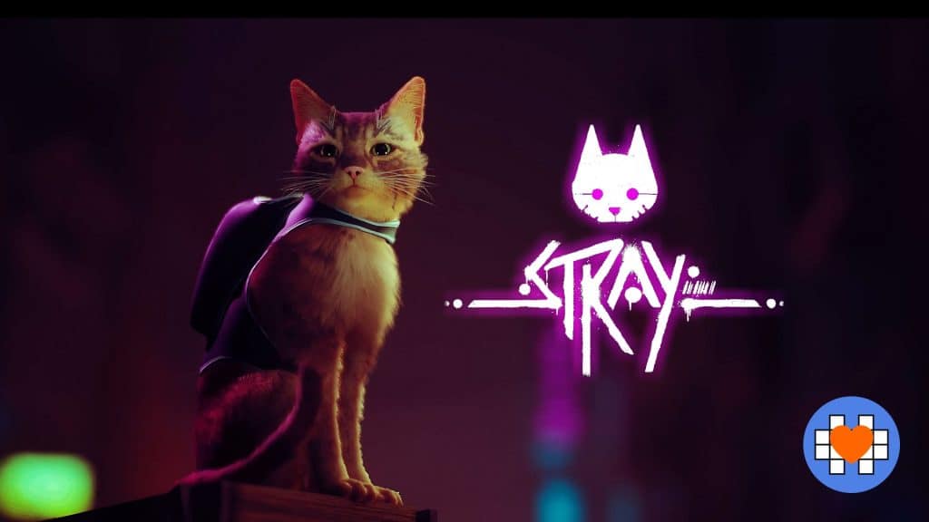 Stray
