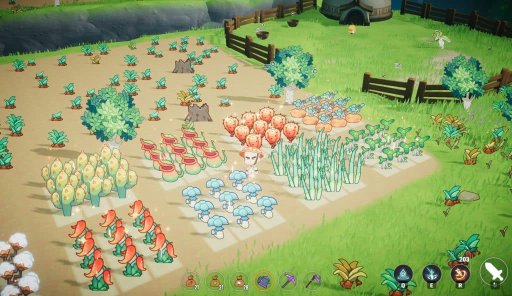 Harvest & Nurture