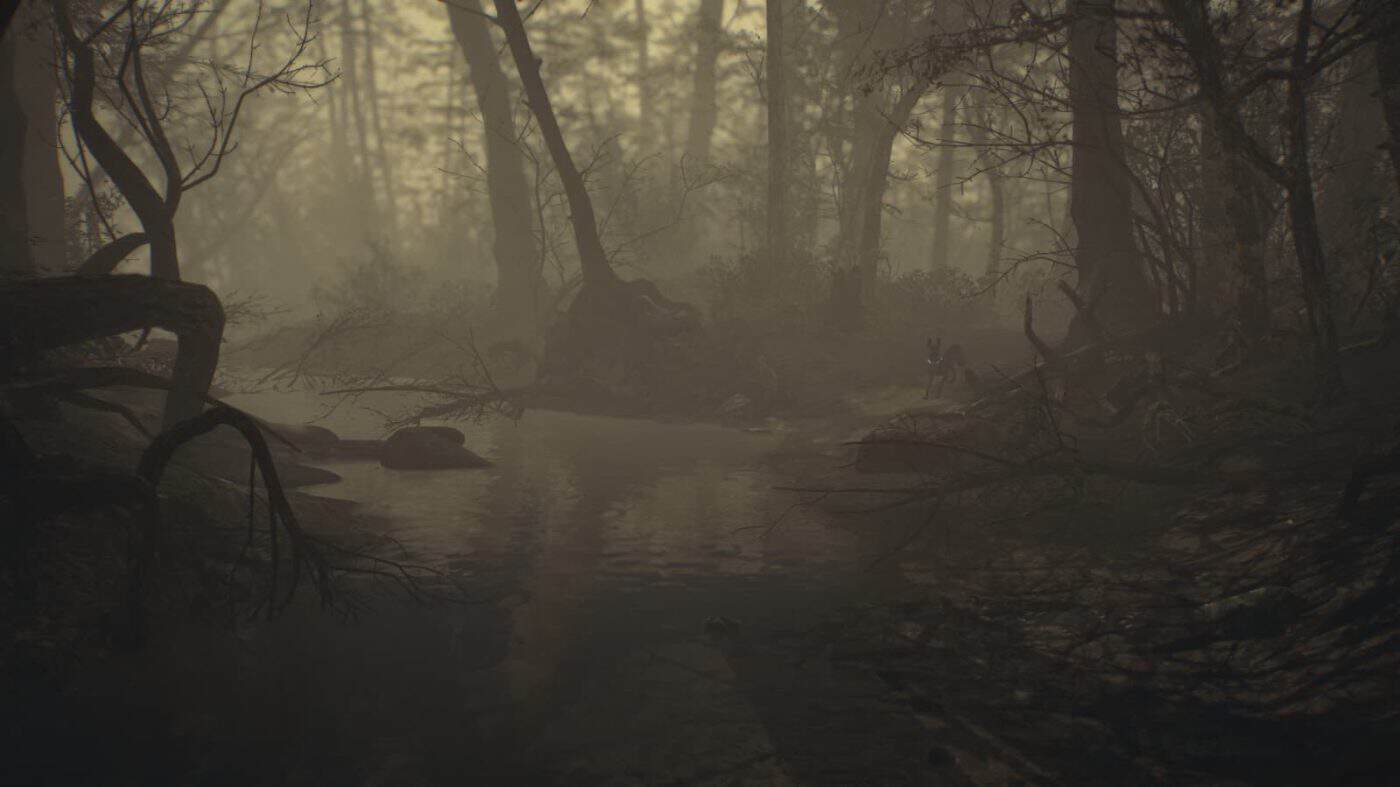 Blair Witch