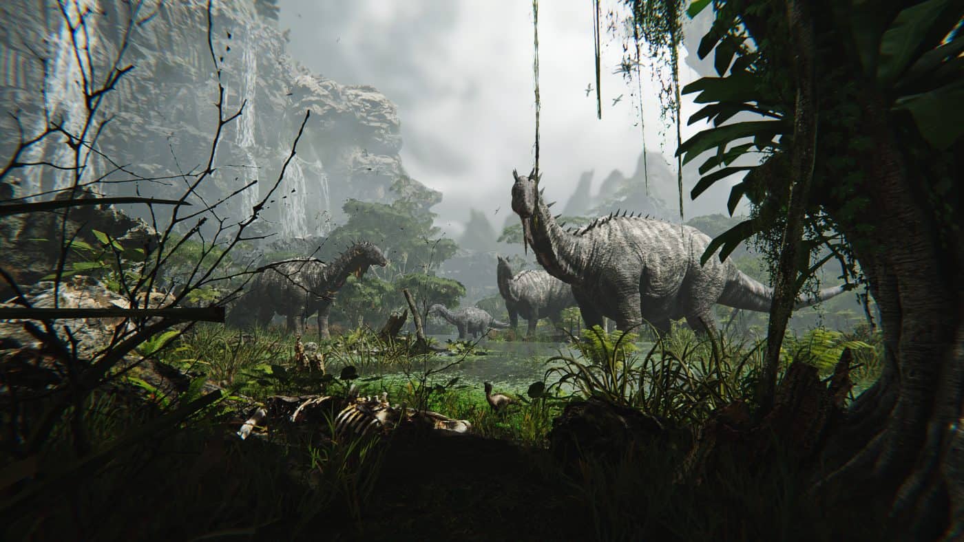 A sneak Peek of the forest