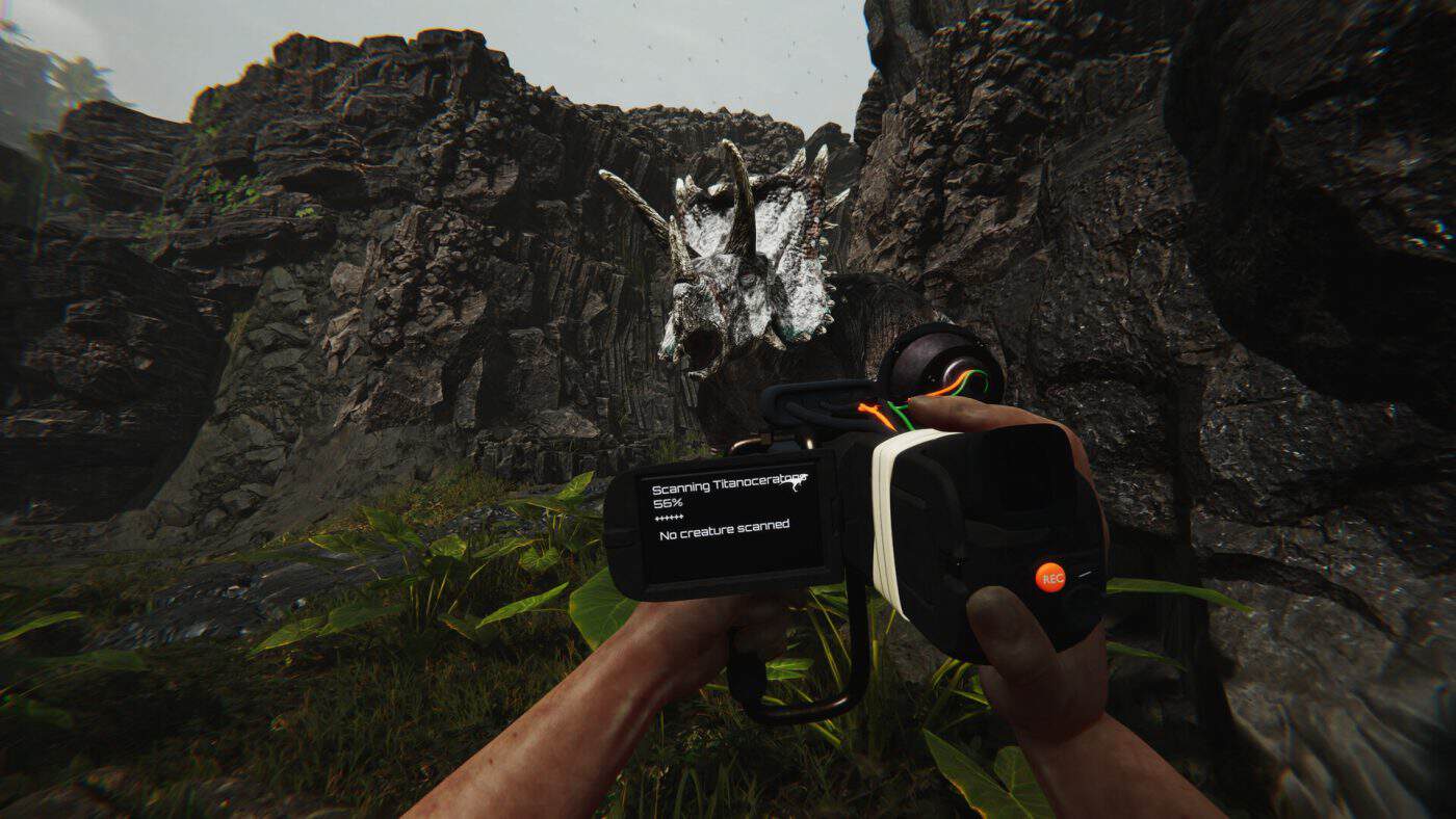gameplay