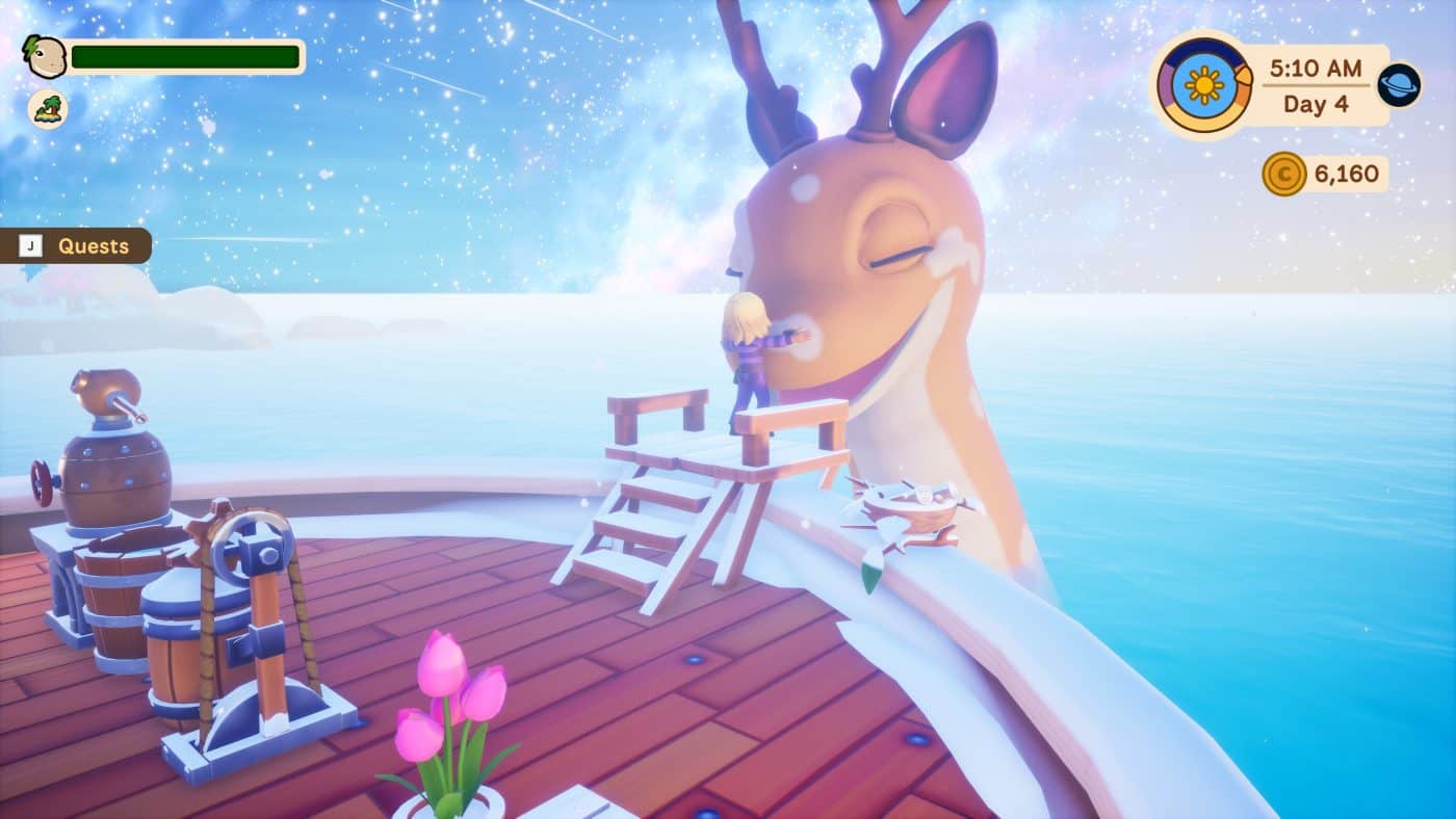 Collector’s Cove