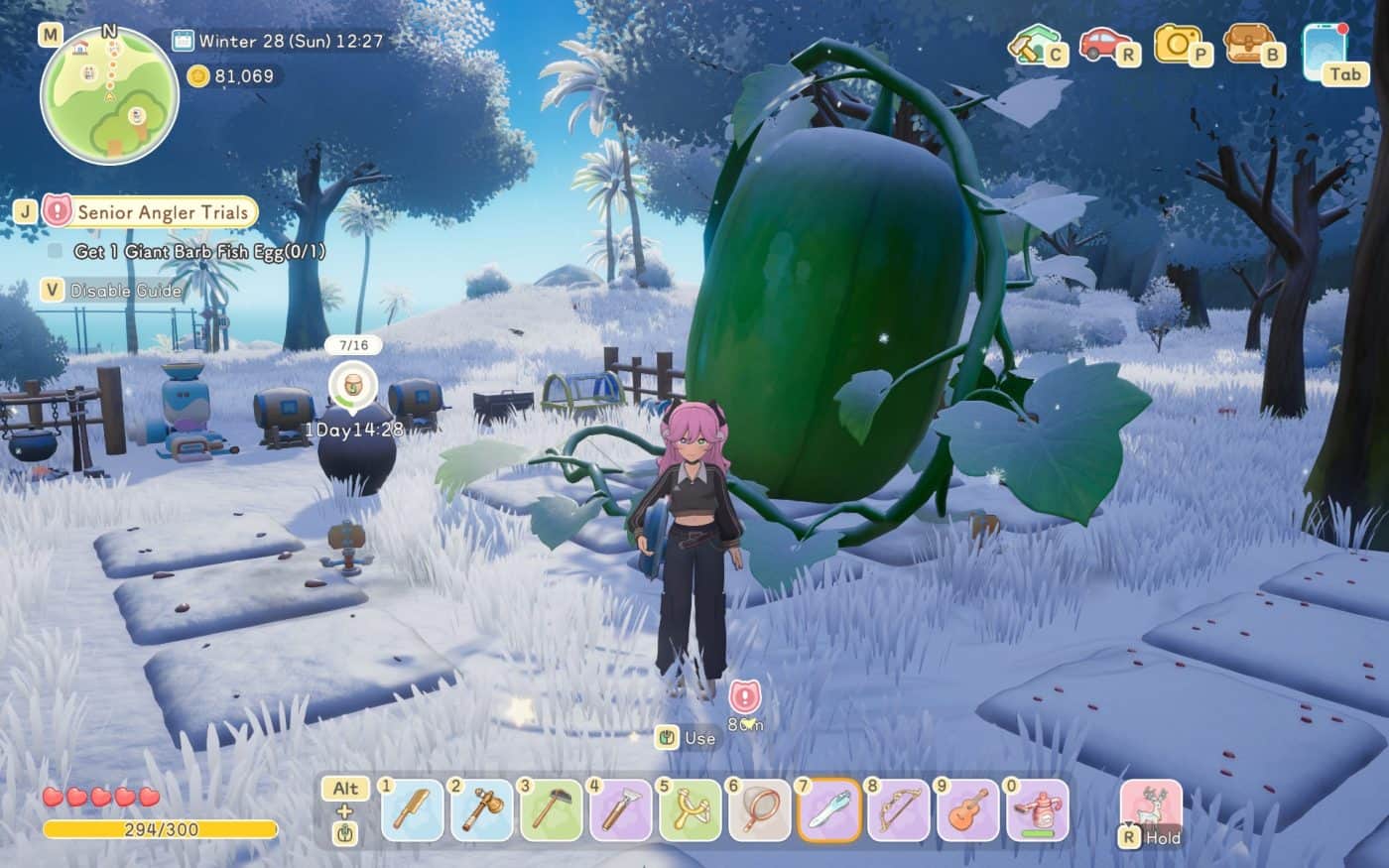 Starsand Island