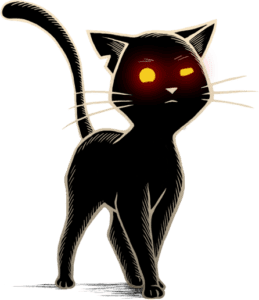 Black Cat