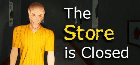 Ziggy solo developer