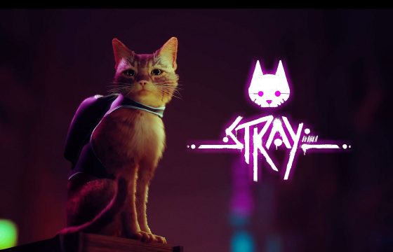 STRAY: Di notte tutti i gatti sono bigi