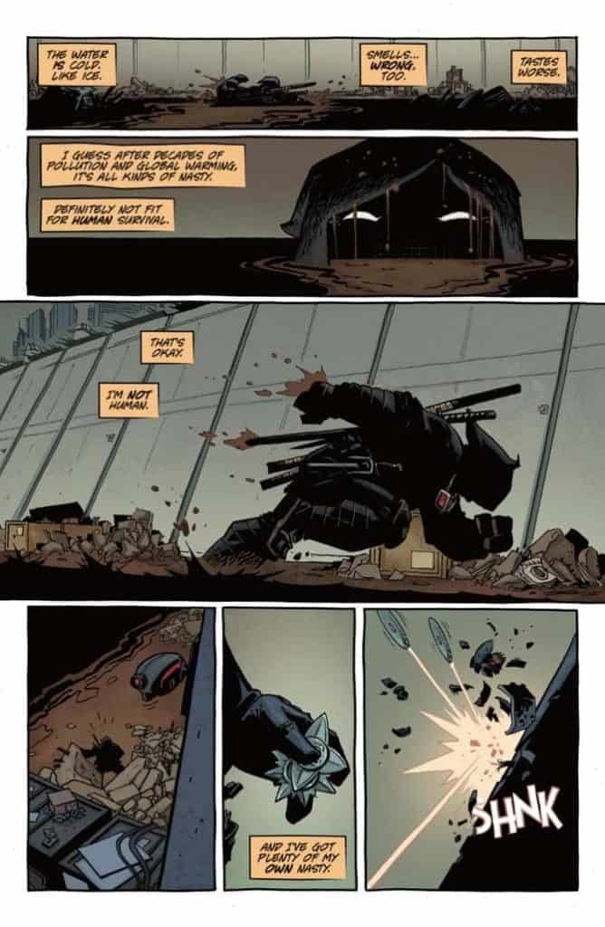 Teenage Mutant Ninja Turtles The Last Ronin
