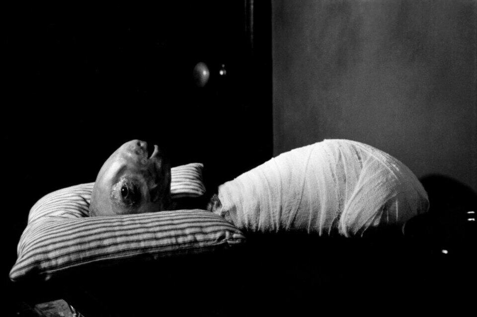 David Lynch
