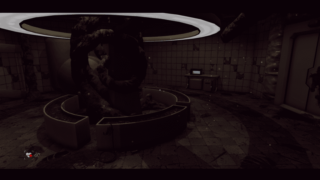 The Voidness
